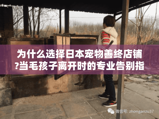 为什么选择日本宠物善终店铺?当毛孩子离开时的专业告别指南