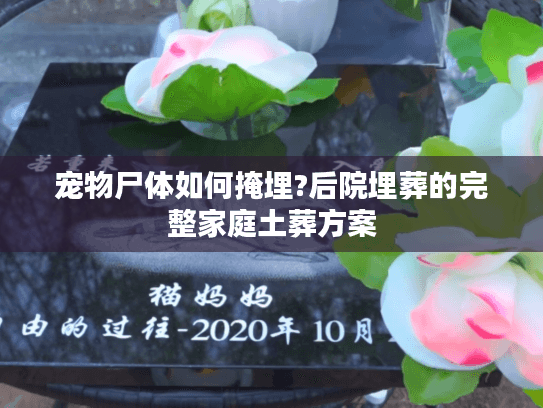 宠物尸体如何掩埋?后院埋葬的完整家庭土葬方案
