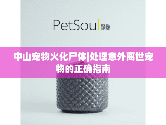 中山宠物火化尸体|处理意外离世宠物的正确指南