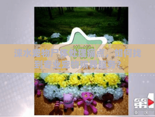 涞水宠物尸体处理痛点，如何找到专业宠物殡葬服务？