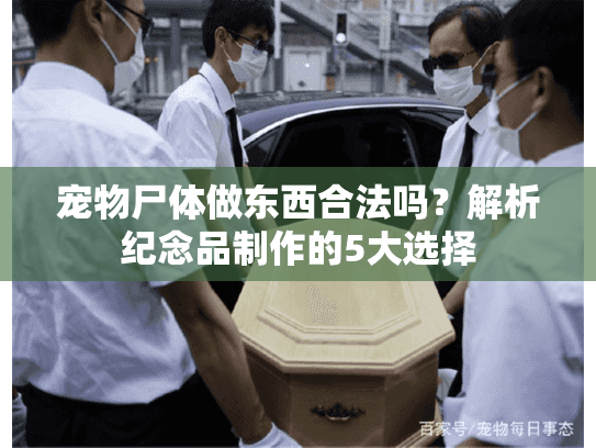 宠物尸体做东西合法吗？解析纪念品制作的5大选择