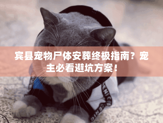 宾县宠物尸体安葬终极指南？宠主必看避坑方案！