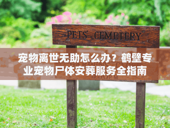 宠物离世无助怎么办？鹤壁专业宠物尸体安葬服务全指南