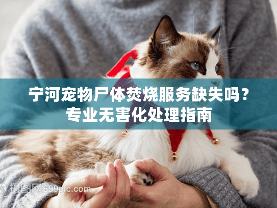宁河宠物尸体焚烧服务缺失吗？专业无害化处理指南