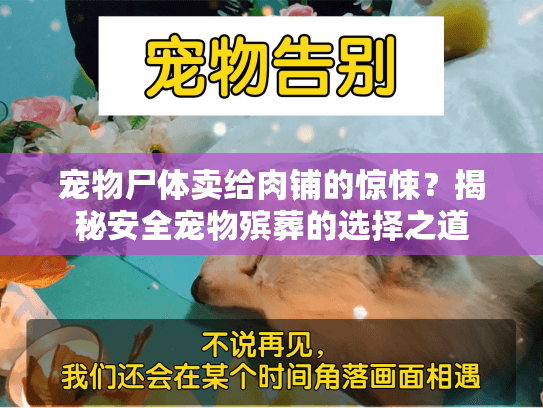 宠物尸体卖给肉铺的惊悚？揭秘安全宠物殡葬的选择之道