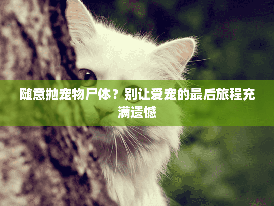 随意抛宠物尸体？别让爱宠的最后旅程充满遗憾