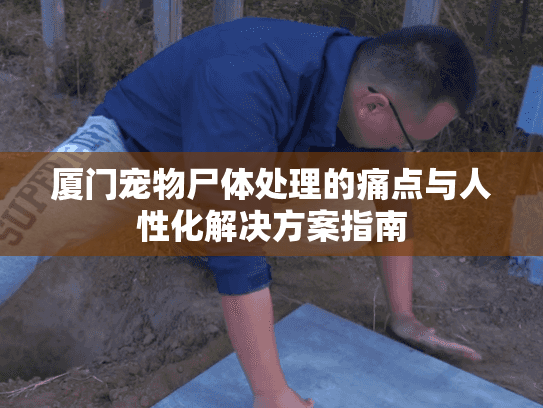 厦门宠物尸体处理的痛点与人性化解决方案指南