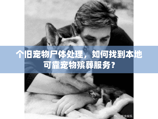 个旧宠物尸体处理，如何找到本地可靠宠物殡葬服务？