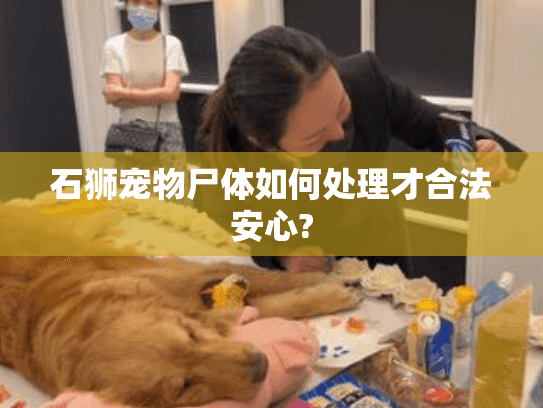石狮宠物尸体如何处理才合法安心?