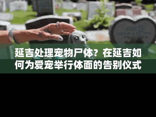 延吉处理宠物尸体？在延吉如何为爱宠举行体面的告别仪式
