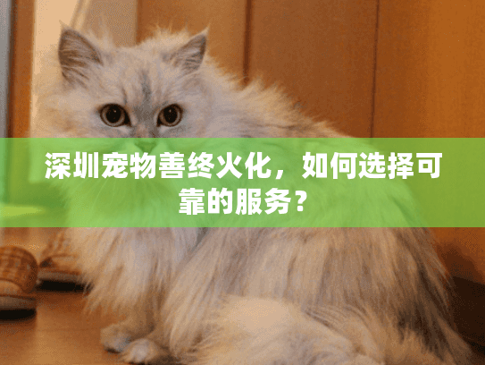 深圳宠物善终火化，如何选择可靠的服务？
