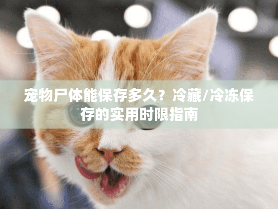 宠物尸体能保存多久？冷藏/冷冻保存的实用时限指南