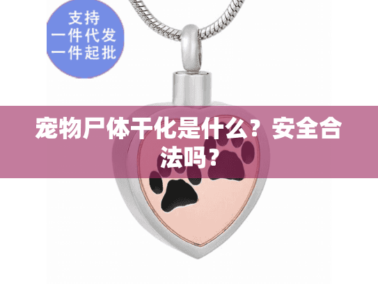 宠物尸体干化是什么？安全合法吗？