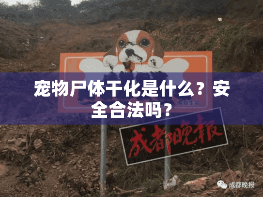 宠物尸体干化是什么？安全合法吗？