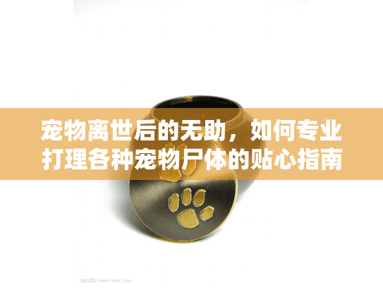 宠物离世后的无助，如何专业打理各种宠物尸体的贴心指南