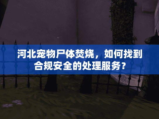 河北宠物尸体焚烧，如何找到合规安全的处理服务？
