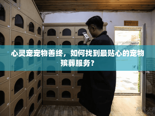 心灵宠宠物善终，如何找到最贴心的宠物殡葬服务？
