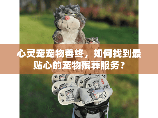 心灵宠宠物善终，如何找到最贴心的宠物殡葬服务？