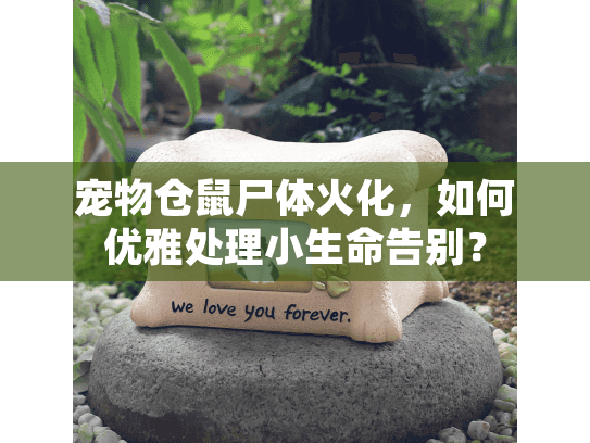 宠物仓鼠尸体火化，如何优雅处理小生命告别？