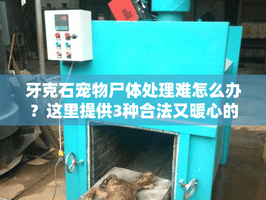 牙克石宠物尸体处理难怎么办？这里提供3种合法又暖心的方案
