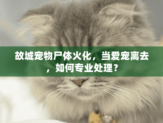 故城宠物尸体火化，当爱宠离去，如何专业处理？