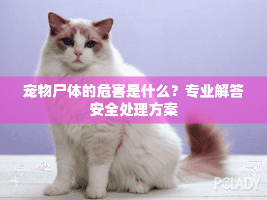 宠物尸体的危害是什么？专业解答安全处理方案