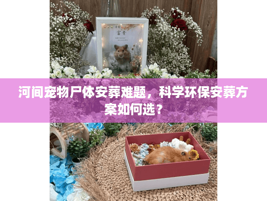 河间宠物尸体安葬难题，科学环保安葬方案如何选？
