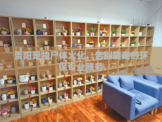 贵阳宠物尸体火化，告别爱宠的环保专业服务