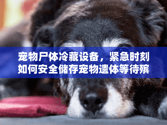 宠物尸体冷藏设备，紧急时刻如何安全储存宠物遗体等待殡葬服务