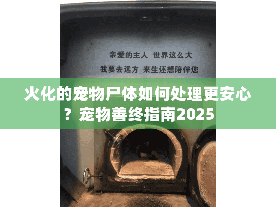 火化的宠物尸体如何处理更安心？宠物善终指南2025