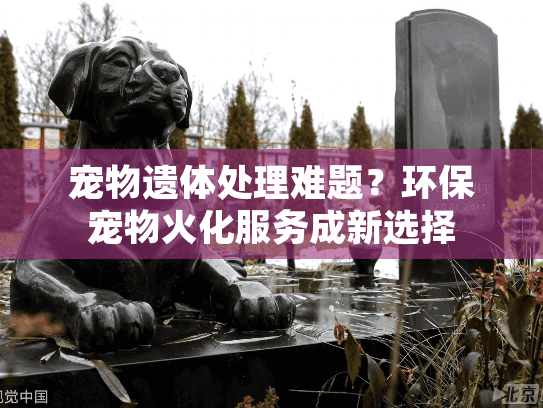 宠物遗体处理难题？环保宠物火化服务成新选择