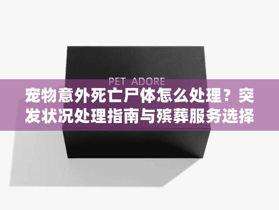 宠物意外死亡尸体怎么处理？突发状况处理指南与殡葬服务选择