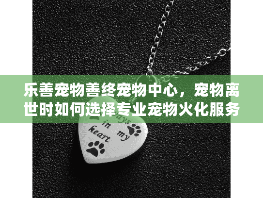 乐善宠物善终宠物中心，宠物离世时如何选择专业宠物火化服务？