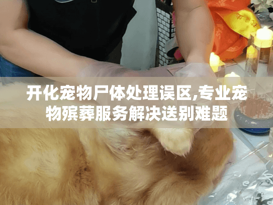 开化宠物尸体处理误区,专业宠物殡葬服务解决送别难题