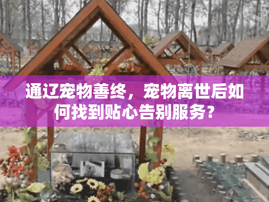 通辽宠物善终，宠物离世后如何找到贴心告别服务？