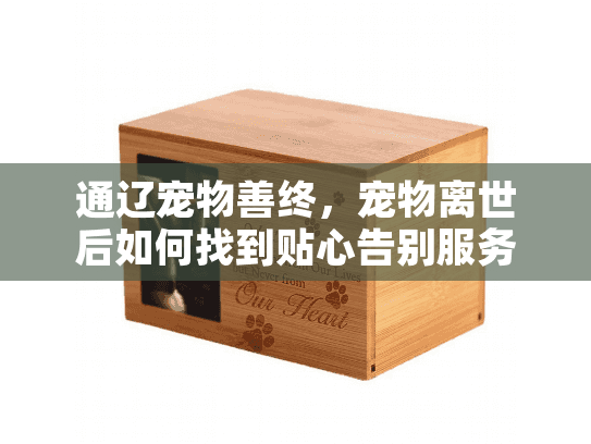 通辽宠物善终，宠物离世后如何找到贴心告别服务？