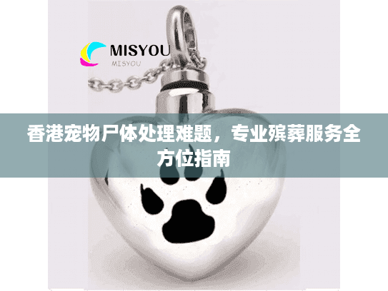 香港宠物尸体处理难题，专业殡葬服务全方位指南