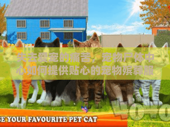失去爱宠的痛苦，宠物尸体中心如何提供贴心的宠物殡葬服务