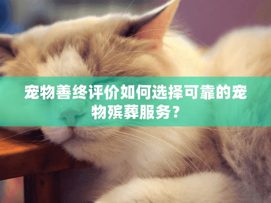 宠物善终评价如何选择可靠的宠物殡葬服务？