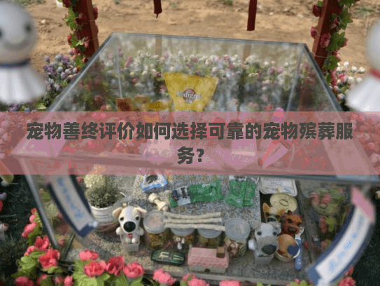 宠物善终评价如何选择可靠的宠物殡葬服务？