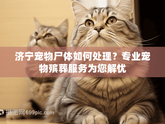 济宁宠物尸体如何处理？专业宠物殡葬服务为您解忧