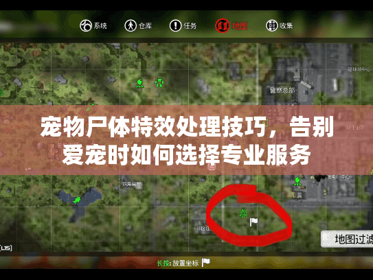 宠物尸体特效处理技巧，告别爱宠时如何选择专业服务