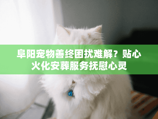 阜阳宠物善终困扰难解？贴心火化安葬服务抚慰心灵