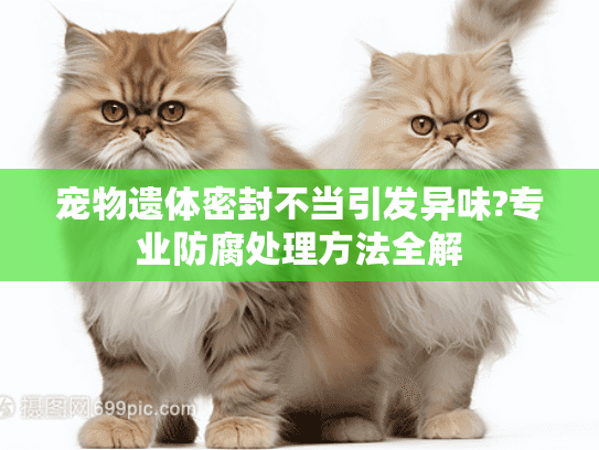 宠物遗体密封不当引发异味?专业防腐处理方法全解