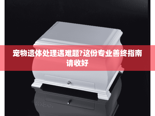 宠物遗体处理遇难题?这份专业善终指南请收好