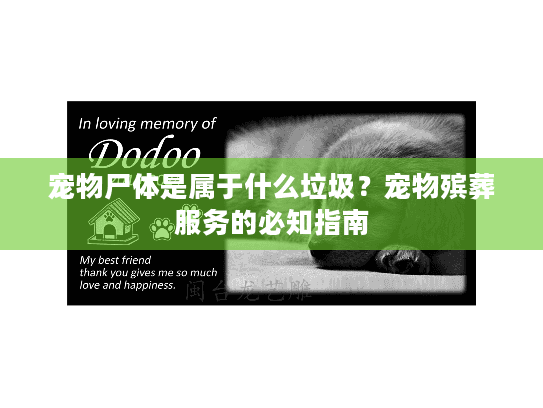 宠物尸体是属于什么垃圾？宠物殡葬服务的必知指南