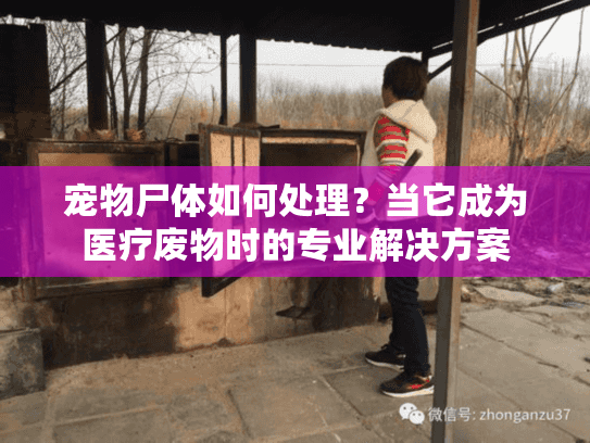 宠物尸体如何处理？当它成为医疗废物时的专业解决方案
