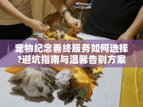 宠物纪念善终服务如何选择?避坑指南与温馨告别方案