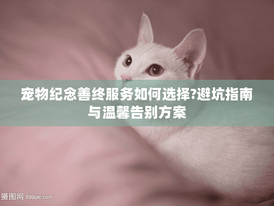宠物纪念善终服务如何选择?避坑指南与温馨告别方案
