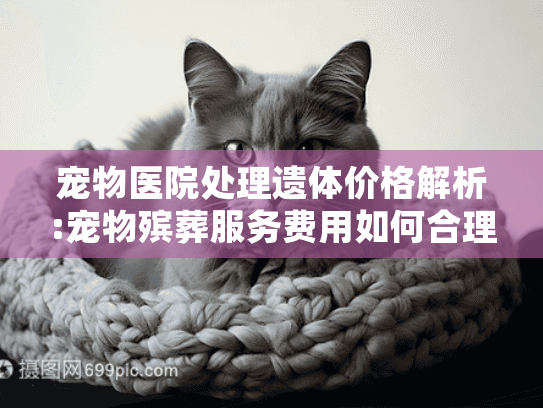 宠物医院处理遗体价格解析:宠物殡葬服务费用如何合理预算?